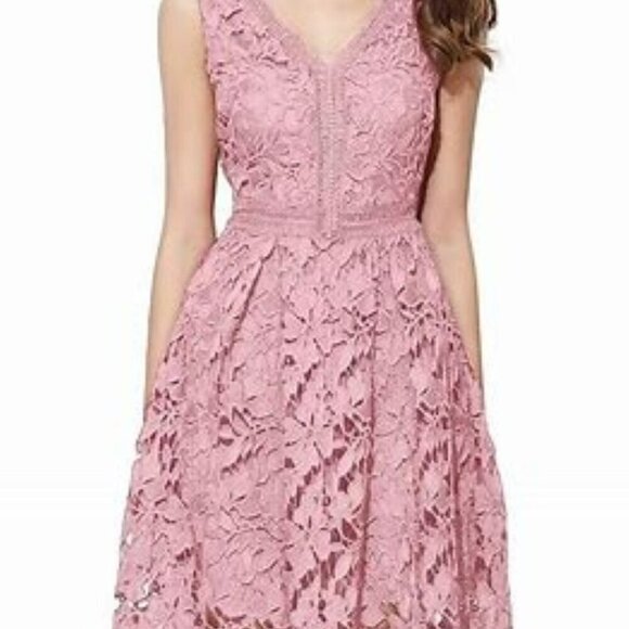 VEIISAR Dresses & Skirts - NWT VEIISAR Rose-colored Elegant V-neck A-Line Cocktail Dress Lace Overlay Large